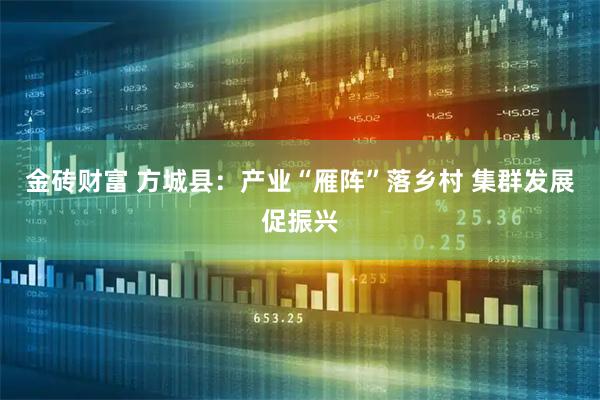 金砖财富 方城县：产业“雁阵”落乡村 集群发展促振兴